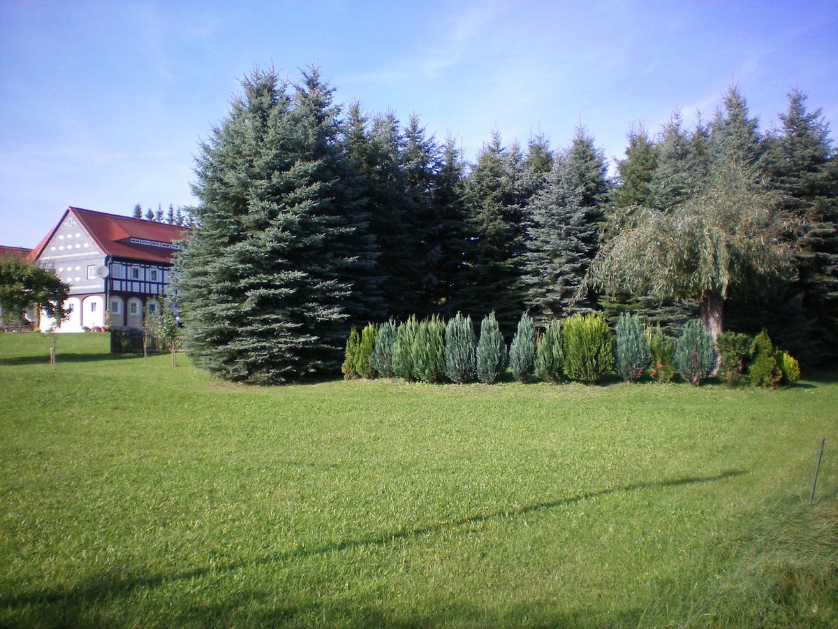 Impression 1