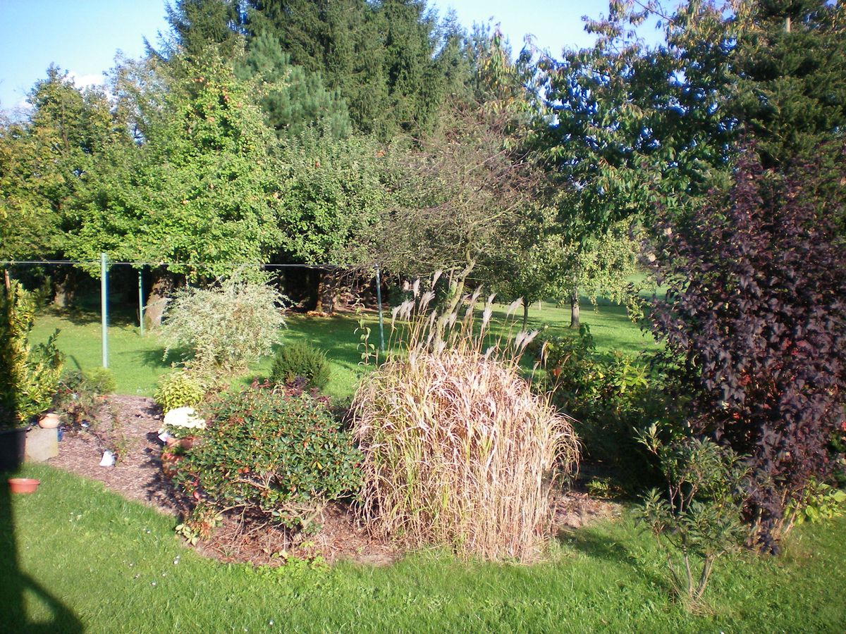 Impression 3